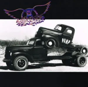 Aerosmith - Pump (LP) Disco de vinilo