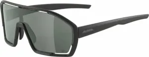 Alpina Bonfire Q-Lite Black Matt/Silver Gafas de ciclismo