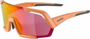 Gafas de sol Alpina
