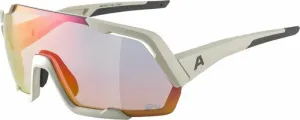 Alpina Rocket QV Cool/Grey Matt/Rainbow Gafas de ciclismo
