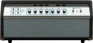 Ampeg SVT 50th Heritage Special Edition Amplificador de bajo de tubo
