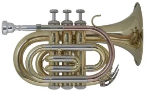 Bach PT650 Bb Trompeta Sib