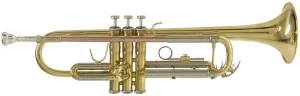 Bach TR 650 Trompeta Sib