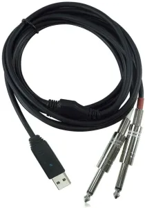 Behringer Line 2 Negro 2 m Cable USB