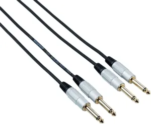 Bespeco RCW150 1,5 m Cable de audio