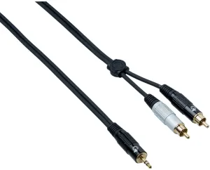 Bespeco EAYMSR300 3 m Cable de audio #632357