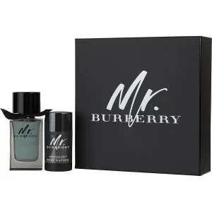Mr. Burberry - Burberry Eau de Toilette Spray 100 ML #278555