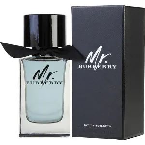 Mr. Burberry - Burberry Eau de Toilette Spray 100 ml #279056