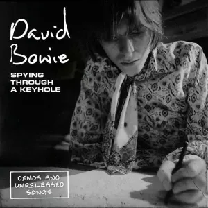 David Bowie - Spying Through A Keyhole (4 LP) Disco de vinilo