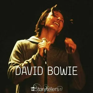 David Bowie - VH1 Storytellers (LP) Disco de vinilo
