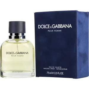 Dolce & Gabbana Pour Homme - Dolce & Gabbana Eau de Toilette Spray 75 ml