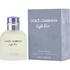 Light Blue Pour Homme - Dolce & Gabbana Eau de Toilette Spray 75 ml