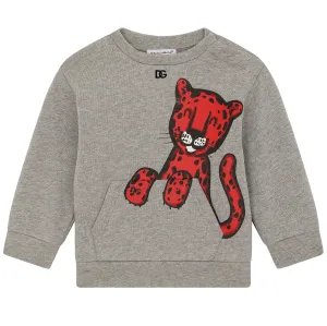 Dolce & Gabbana Baby Boys Animalier Leopard Sweater Grey 9/12m