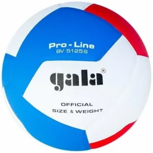 Gala Pro Line 12 Voleibol de interior