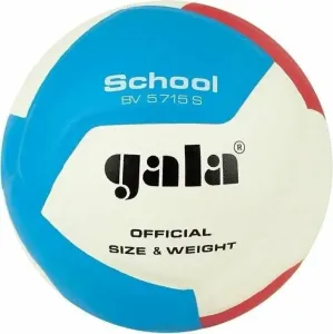 Gala School 12 Voleibol de interior