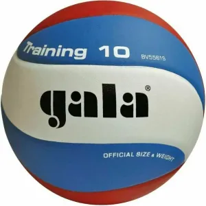 Gala Training 10 Voleibol de interior #52919