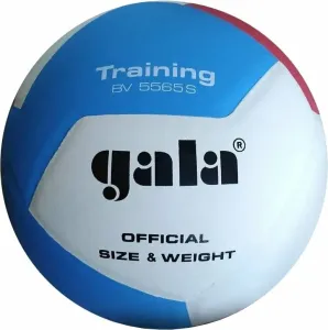 Gala Training 12 Voleibol de interior