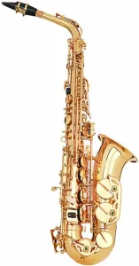 Grassi GR SAL700BUNDLE Saxofón alto #746382