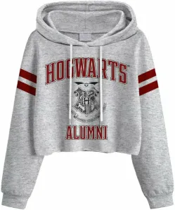 Harry Potter Sudadera Hogwarts Alumni Ladies Grey 2XL
