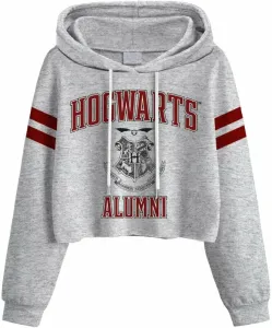 Harry Potter Sudadera Hogwarts Alumni Ladies L Grey