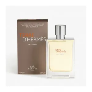 Terre D'Hermès Eau Givrée - Hermès Eau De Parfum Spray 100 ml