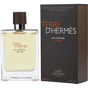 Terre d'Hermès Eau Intense Vétiver - Hermès Eau De Parfum Spray 100 ml #281647