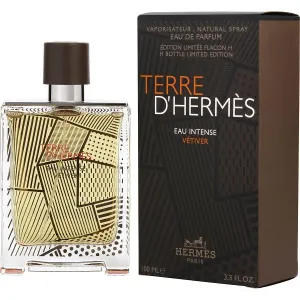Terre D'Hermès Eau Intense Vetiver - Hermès Eau De Parfum Spray 100 ml