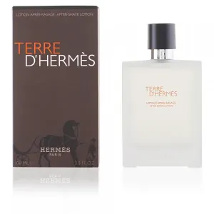 Terre d'Hermès - Hermès Aftershave 100 ml #276495