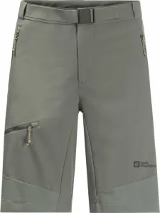 Jack Wolfskin Ziegspitz Shorts M Gecko Green L Pantalones cortos para exteriores