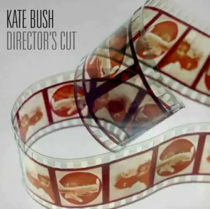 Kate Bush - Director’s Cut (2 LP) Disco de vinilo