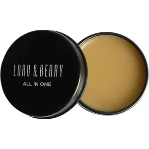 Lord & Berry All In One Ointment with Karitè (Shea) Extracts 2 25 g