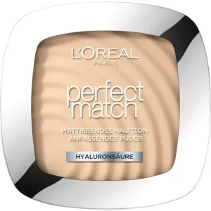 L’Oréal Paris Talco Perfect Match 2 9 g #106483