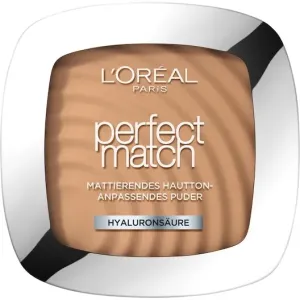 L’Oréal Paris Talco Perfect Match 2 9 g #106481
