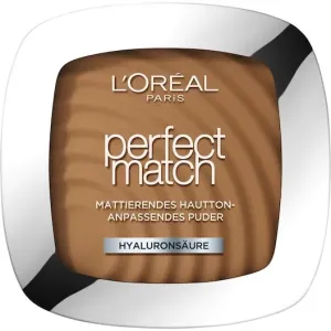 L’Oréal Paris Talco Perfect Match 2 9 g