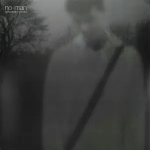 No-Man - Schoolyard Ghosts (2 LP)