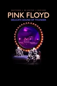 Pink Floyd - Delicate Sound Of Thunder (Box Set) Disco de vinilo