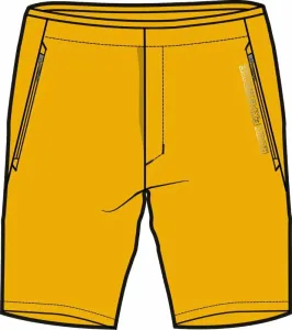 Rock Experience Powell 2.0 Shorts Man Pant Old Gold L Pantalones cortos para exteriores