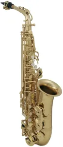 Roy Benson AS-202 Saxofón alto