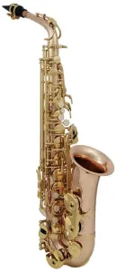 Roy Benson AS-202G Saxofón alto
