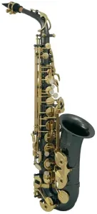 Roy Benson AS-202K Saxofón alto