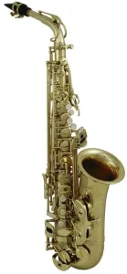 Roy Benson AS-302 Saxofón alto