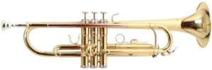 Roy Benson TR-101 Trompeta Sib