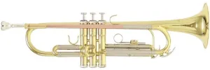 Roy Benson TR-202 Trompeta Sib