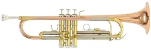 Roy Benson TR-202G Trompeta Sib