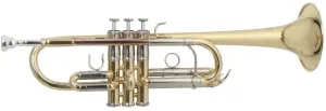 Roy Benson TR-402C Trompeta en Do #9680