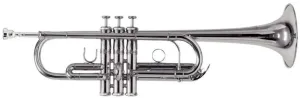 Roy Benson TR-402C Trompeta en Do #9735