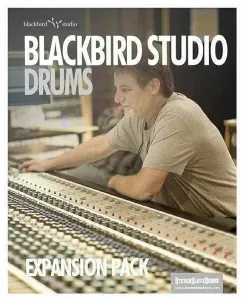 Steven Slate Trigger 2 Blackbird (Expansion) (Producto digital)