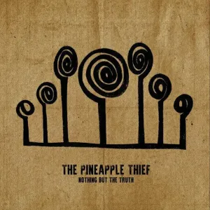 The Pineapple Thief - Nothing But The Truth (2 LP) Disco de vinilo