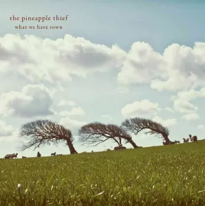 The Pineapple Thief - What We Have Sown (2 LP) Disco de vinilo