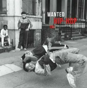 Various Artists - Wanted Hip-Hop (LP) Disco de vinilo